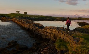 Nes - Guristraumen 13_16