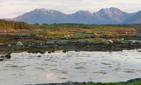 Nes - Guristraumen 13_26