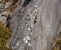 Leka Skeisneset lokalitet 1 12_12