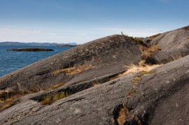 Leka Skeisneset lokalitet 2 12_03