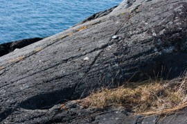 Leka Skeisneset lokalitet 2 12_06