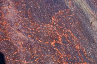 Leka Skeisneset lokalitet 4 12_09