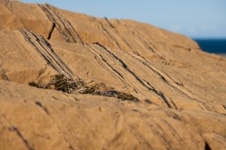 Leka Kvaløy kromittband12_14