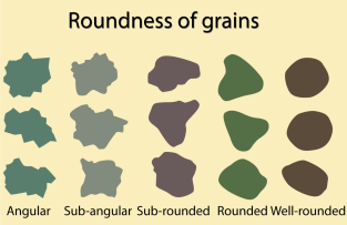 Rundingsgrad engelsk