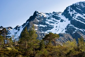 Vega Vegdalsskaret Lokalitet 3 12_06