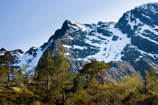 Vega Vegdalsskaret Lokalitet 3 12_06