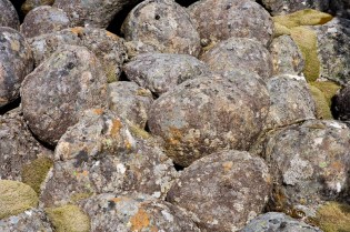 VegaJuvika Lokalitet 1 12_04