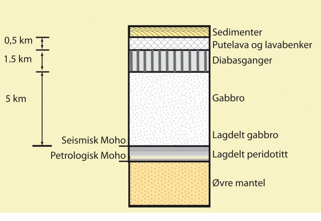 snitthavbunn [Converted]